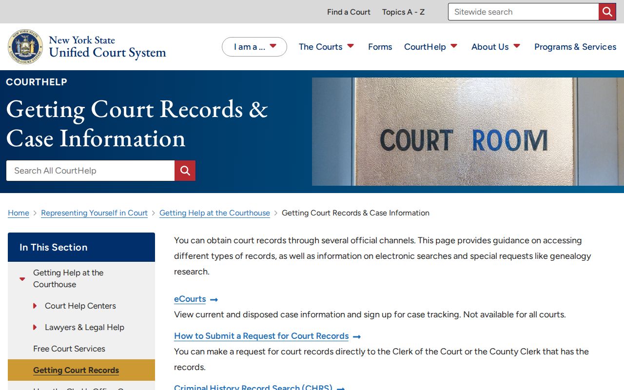 Palm Tree resident lookup court-record access guidance from New York courts